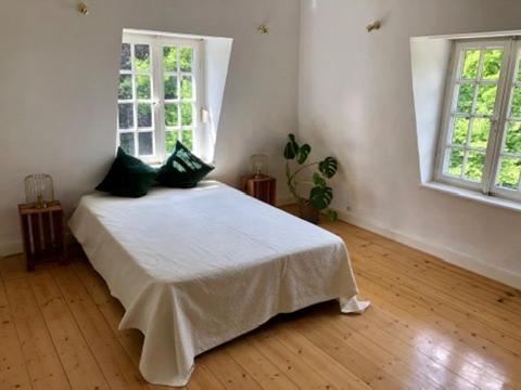 Villa Erbschloe レムシャイト エクステリア 写真