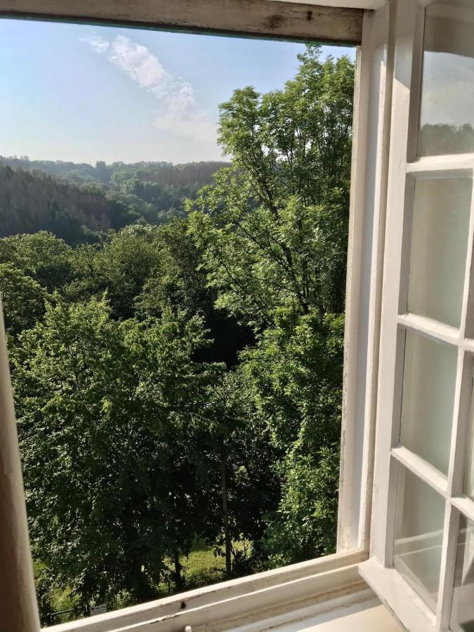 Villa Erbschloe レムシャイト エクステリア 写真